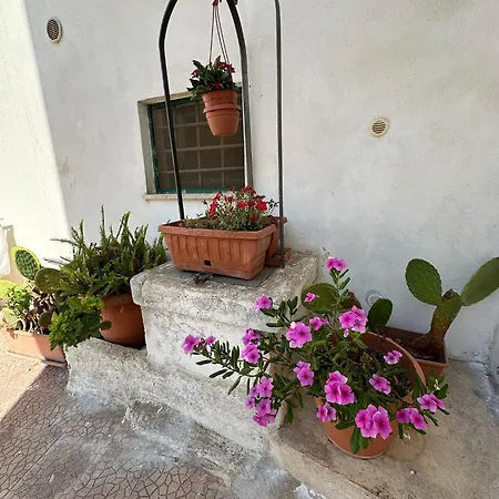 Casa Borgo Monte *